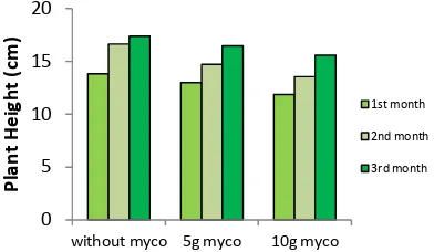 Figure 3. Histogram Number of Leaves of MatoaSeedlings at Mycorrhizal Treatment