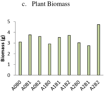 Figure 10. Histogram Plant Biomass of Matoa