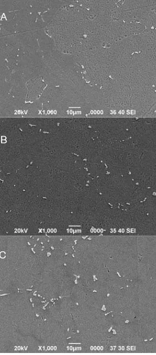Fig.9heated at A) 200 °C, B) 400°C and C) 600°C, Etched by :Photograph of SEM result welded specimen Kalling Reagent’s no