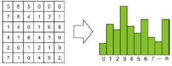 Gambar 8  Pembentukan histogram LBP. 