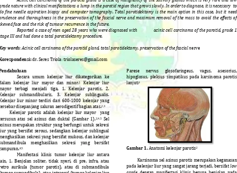 Gambar 1. Anatomi kelenjar parotis2
