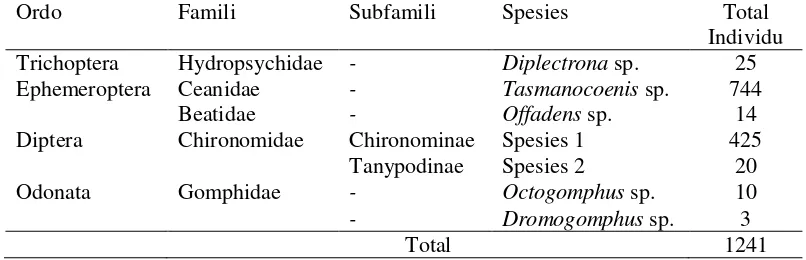 Tabel 3. Jenis serangga air yang ditemukan di daerah aliran Sungai Dendang Ketereh Kota Bharu Kelantan