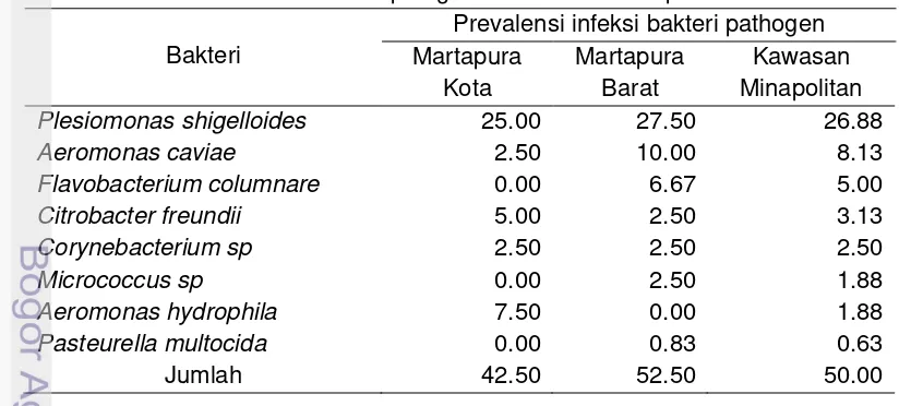 Tabel 7  Prevalensi infeksi bakteri patogen di Kawasan Minapolitan 