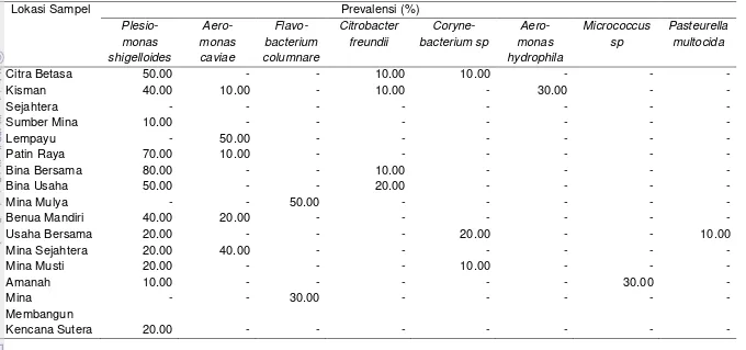 Tabel 10  Prevalensi masing-masing bakteri patogen di lokasi pengambilan sampel di Kawasan Minapolitan 