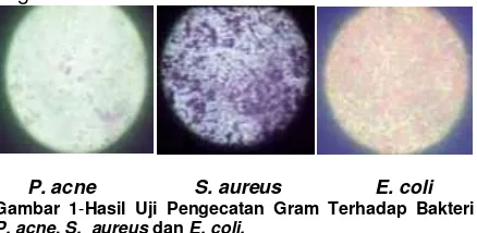 Gambar 1-Hasil Uji Pengecatan Gram Terhadap Bakteri  