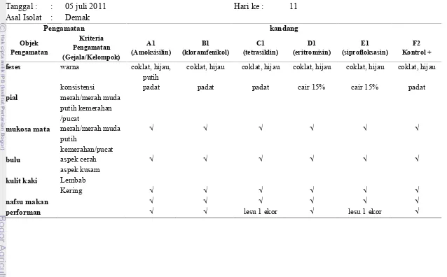 Tabel Pengamatan Gejala Klinis Ayam Coba yang digunakan dalam penelitian