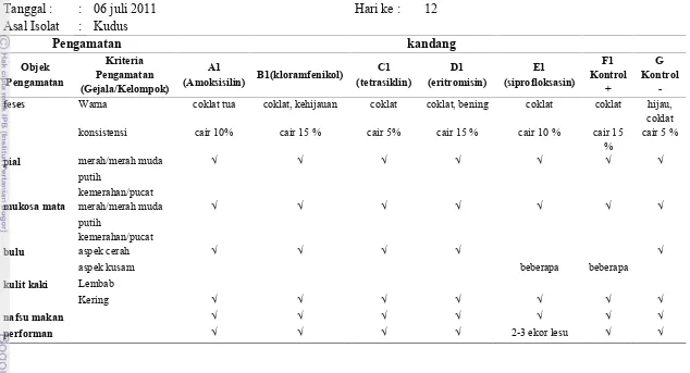Tabel Pengamatan Gejala Klinis Ayam Coba yang digunakan dalam penelitian