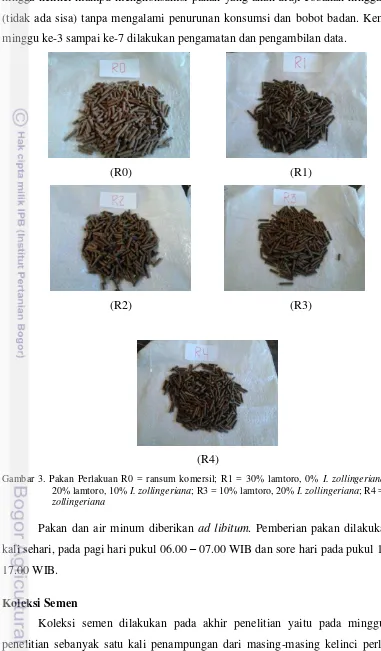 Gambar 3. Pakan Perlakuan R0 = ransum komersil; R1 = 30% lamtoro, 0% I. zollingeriana; R2 = 