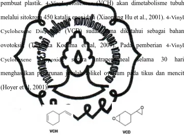 Gambar 6. Sruktur kimia 4- vynilcyclohexene dan 4-vynilcyclohexene diepoxide. 