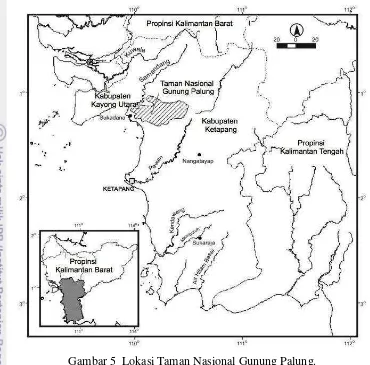 Gambar 5  Lokasi Taman Nasional Gunung Palung. 