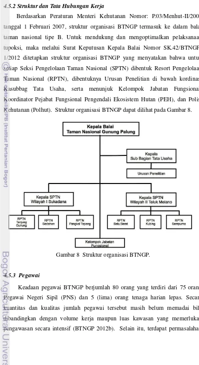 Gambar 8  Struktur organisasi BTNGP. 