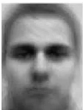 Gambar 3: Eigenface dari rata-rata gambar 