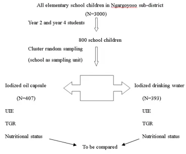 Figure 1. Flow diagram of the study 