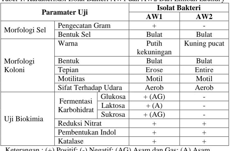 Tabel 2. Hasil Uji Awal Limbah Laundry 