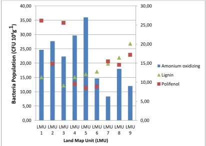 Figure 2. Relationship between Amonium Oxidizing bacteria and lignin, polifenol concentration is sub Keduang watershed agroforestry system  