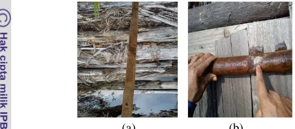 Gambar 5  Pengukuran ketebalan gambut (a) memasukkan kayu pengukur ke 