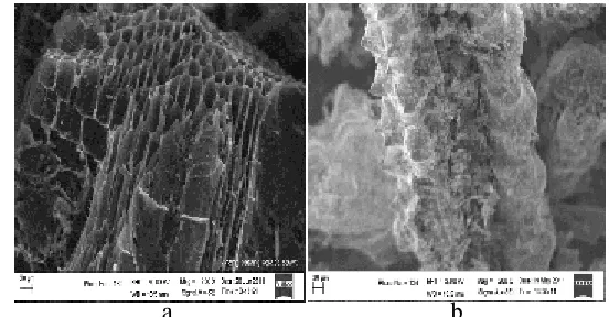 Gambar 6 Hasil Scanning Electron Microscopy (SEM) arang batang kelapa sawit (a); arang sekam padi (b), (Sumber: koleksi pribadi, 2011 (a); Alfianto, 2011 (b))