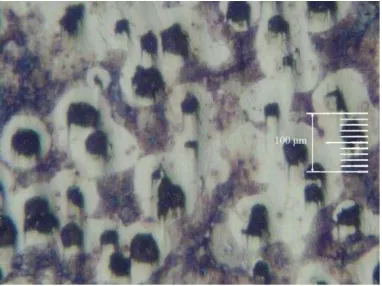 Gambar 5. Struktur mikro sampel C. 