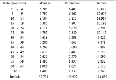 Tabel 13   Penduduk menurut Kelompok Umur dan Jenis Kelamin  Kabupaten    Pohuwato 