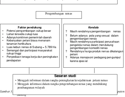 Gambar 3. Kerangka Pemikiran Penelitian Analisis Pengembangan Komoditi Nenas di Kabupaten 