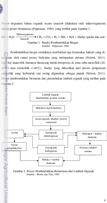 Gambar 1.  Reaksi Pembentukkan Biogas. 