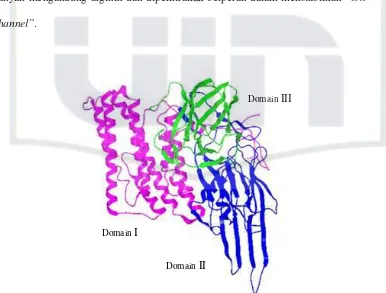 Gambar 2.7.  Struktur tiga dimensi protein Cry 2Ab10 (Lin et al., 2007) 