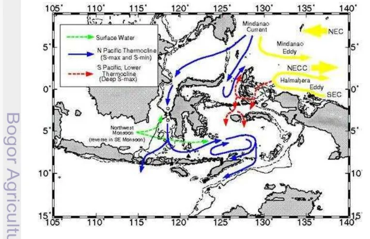 Gambar 3. Sistem Arus Lintas Indonesia (Arlindo) di perairan 
