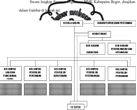 Gambar  7. Struktur Organisasi BP4K Kabupaten Bogor  