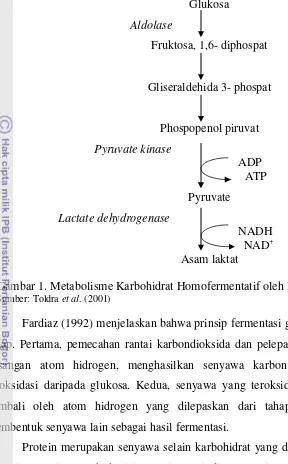 Gambar 1. Metabolisme Karbohidrat Homofermentatif oleh Bakteri Asam Laktat 