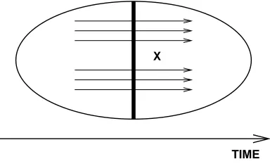 Figure 1: Symbolic representation of Glob(X) for some topological space X