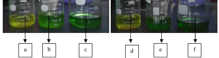 Gambar 12. Ekstrak buah takokak pelarut heksan (a), etil asetat (b), dan metanol (c); Ekstrak hancuran buah takokak pelarut heksan (d), etil asetat (e), dan metanol (f) 