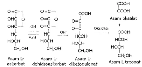 Gambar 5. Reaksi metabolisme asam askorbat (vitamin C) 