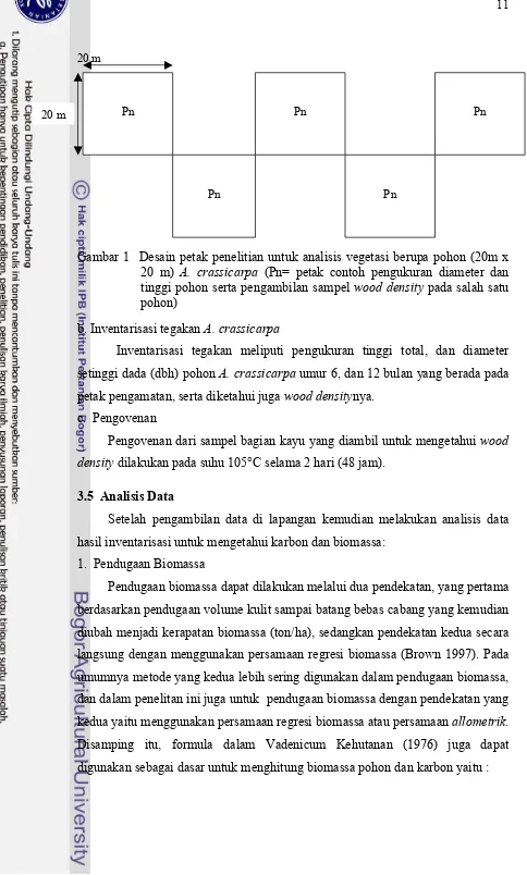 Gambar 1  Desain petak penelitian untuk analisis vegetasi berupa pohon (20m x 