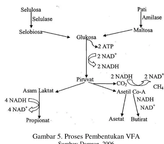 Gambar 5. Proses Pembentukan VFA  