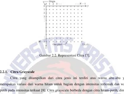 Gambar 2.2. Representasi Citra [7]. 