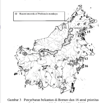 Gambar 3   Penyebaran bekantan di Borneo dan 16 areal prioritas 