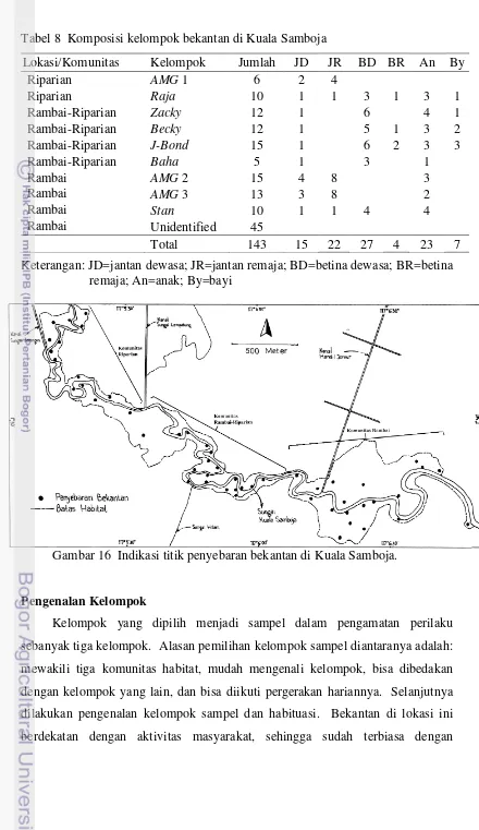 Tabel 8  Komposisi kelompok bekantan di Kuala Samboja 