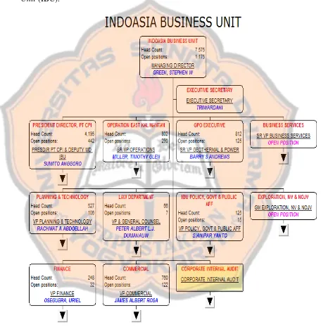 Gambar IV.4 menunjukkan struktur organisasi Chevron IndoAsia Business 