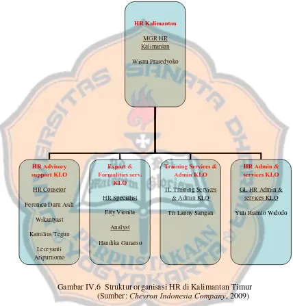 Gambar IV.6  Struktur organisasi HR di Kalimantan Timur Chevron Indonesia Company