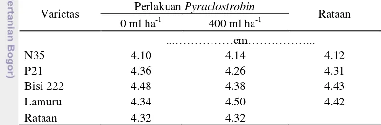 Tabel 9. Pengaruh varietas dan pyraclostrobin terhadap diameter tongkol 