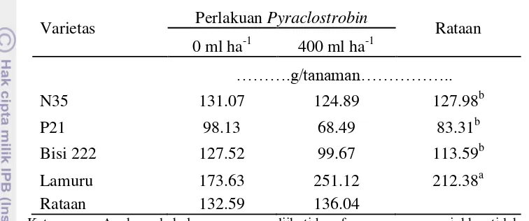 Tabel 13. Pengaruh varietas dan pyraclostrobin terhadap bobot brangkasan 