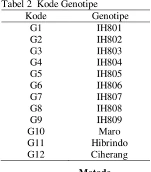 Tabel 2  Kode Genotipe 
