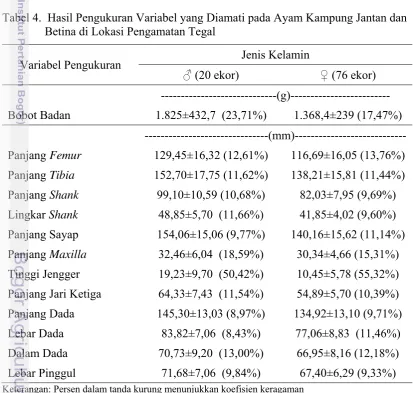 Tabel 4.  Hasil Pengukuran Variabel yang Diamati pada Ayam Kampung Jantan dan 