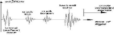 Gambar 1. Sinyal pantul ultrasonik (A-scan) [3] 