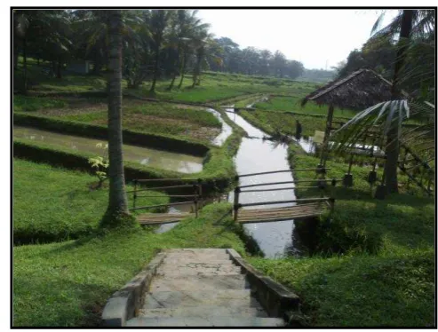 Gambar 8. Lanskap Danau 