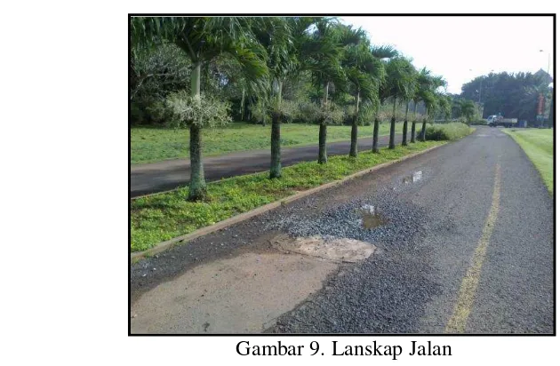 Gambar 9. Lanskap Jalan 