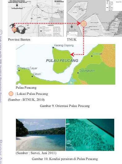 Gambar 10. Kondisi perairan di Pulau Peucang 