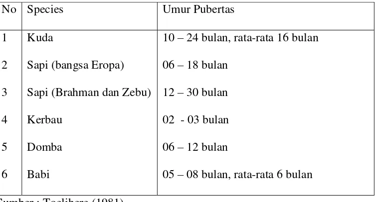 Tabel 1. Umur pubertas pada berbagai jenis ternak 