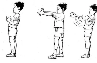 Gambar 7. Cara Menangkap Bola (Tisnowati Tamat dan Moekarto Minnan, 2005) 
