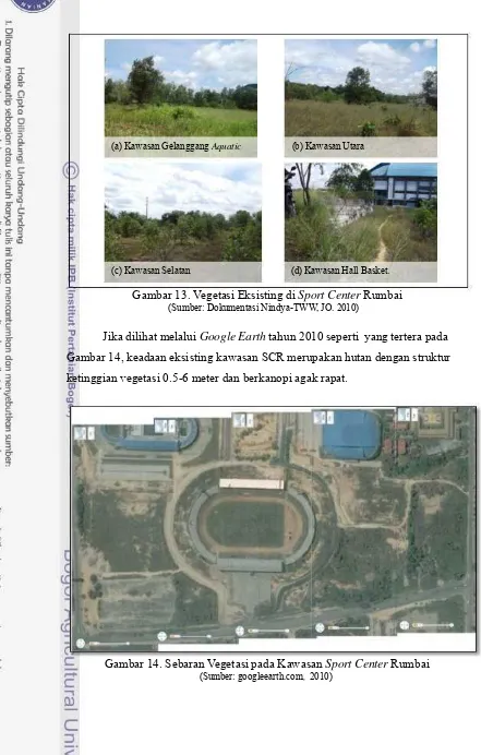 Gambar 13. Vegetasi Eksisting di Sport Center Rumbai 